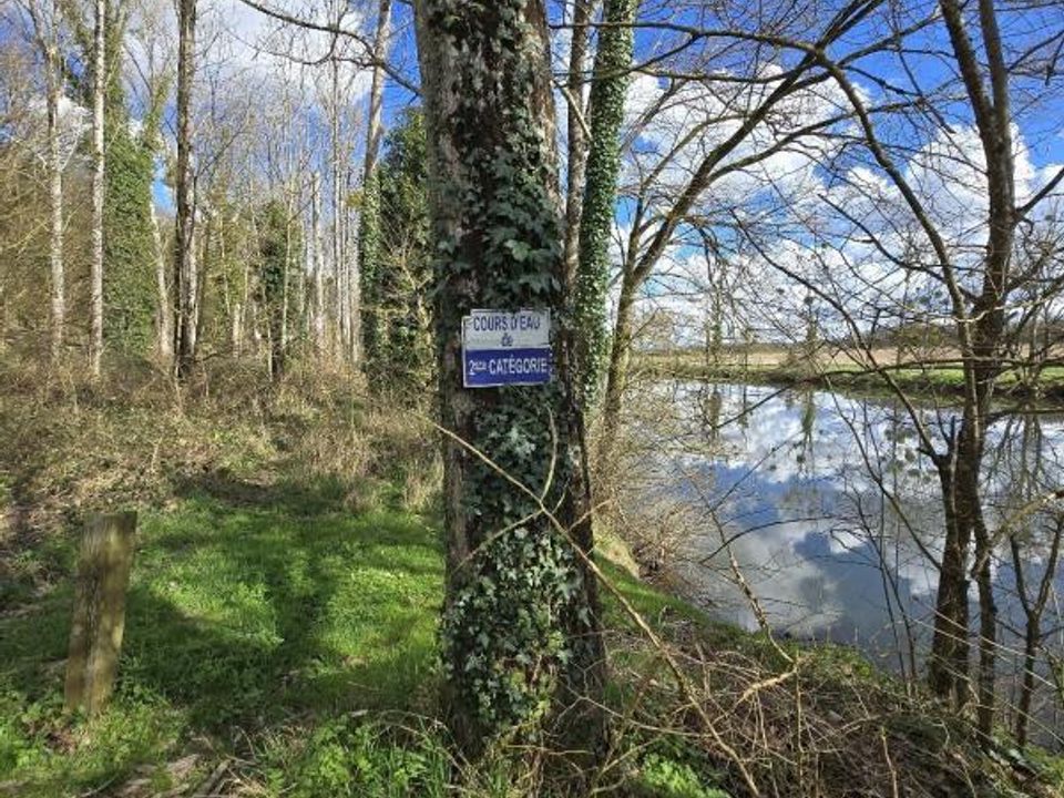 Helårsgrund i Fontgombault, Indre - foto 3