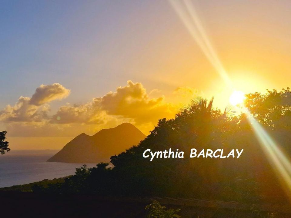 Landejendom i Le Diamant, Martinique - foto 2