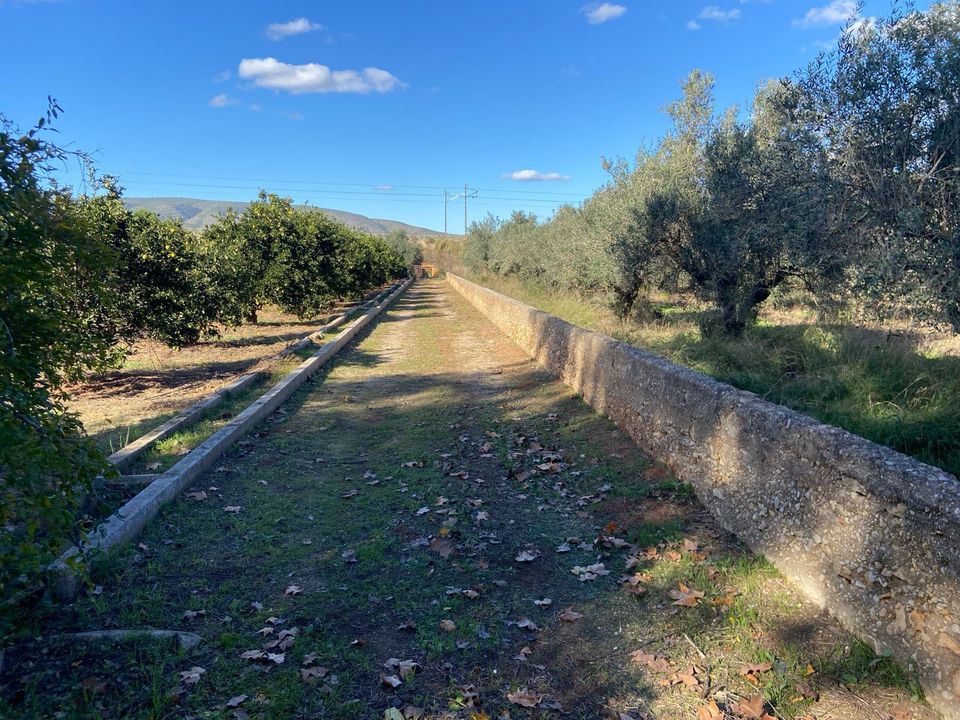 Landejendom i Montesa, Valencia - foto 3