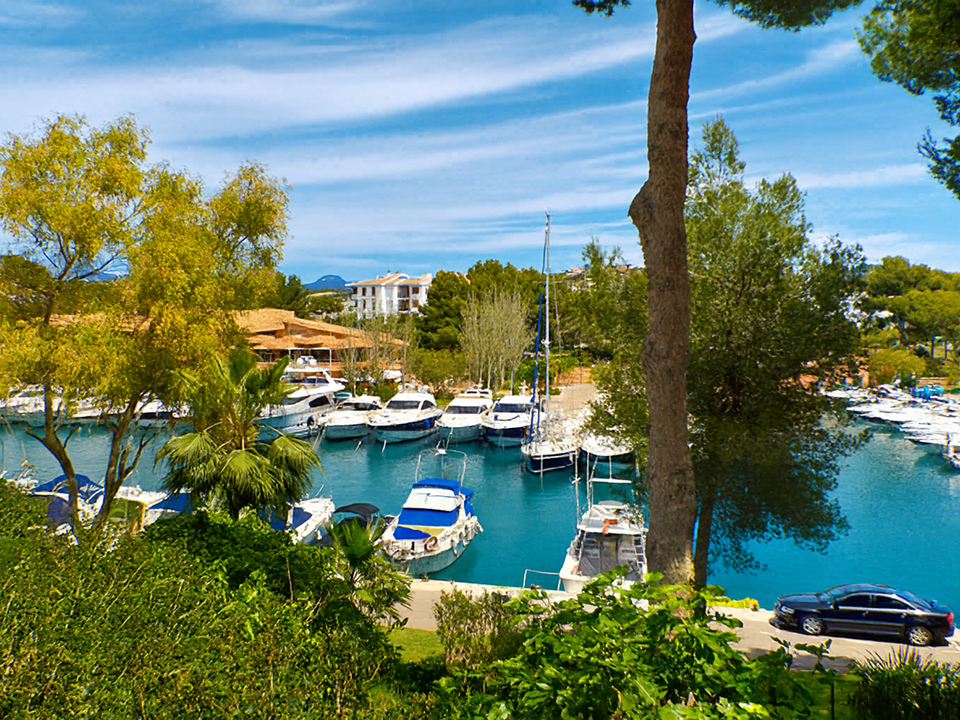 Helårsgrund i Santa Ponsa, Mallorca - foto 3