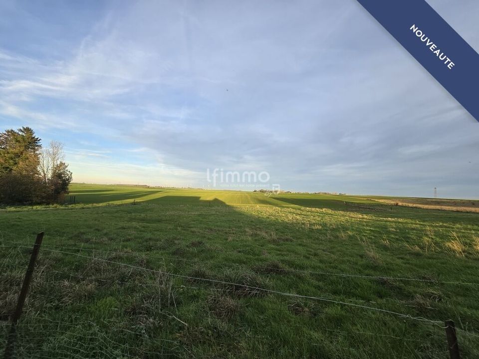 Farm i Le Transloy, Pas-de-Calais - foto 4