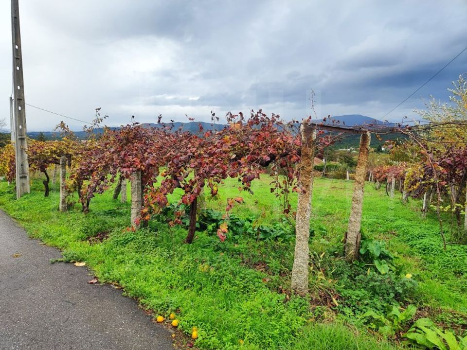 Helårsgrund i Moncao, Viana do Castelo - foto 4