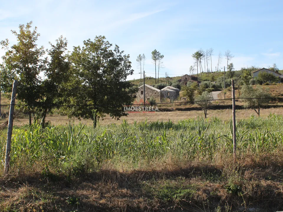 Farm i Oliveira do Hospital, Coimbra - foto 1