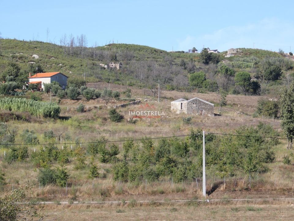 Farm i Oliveira do Hospital, Coimbra - foto 3