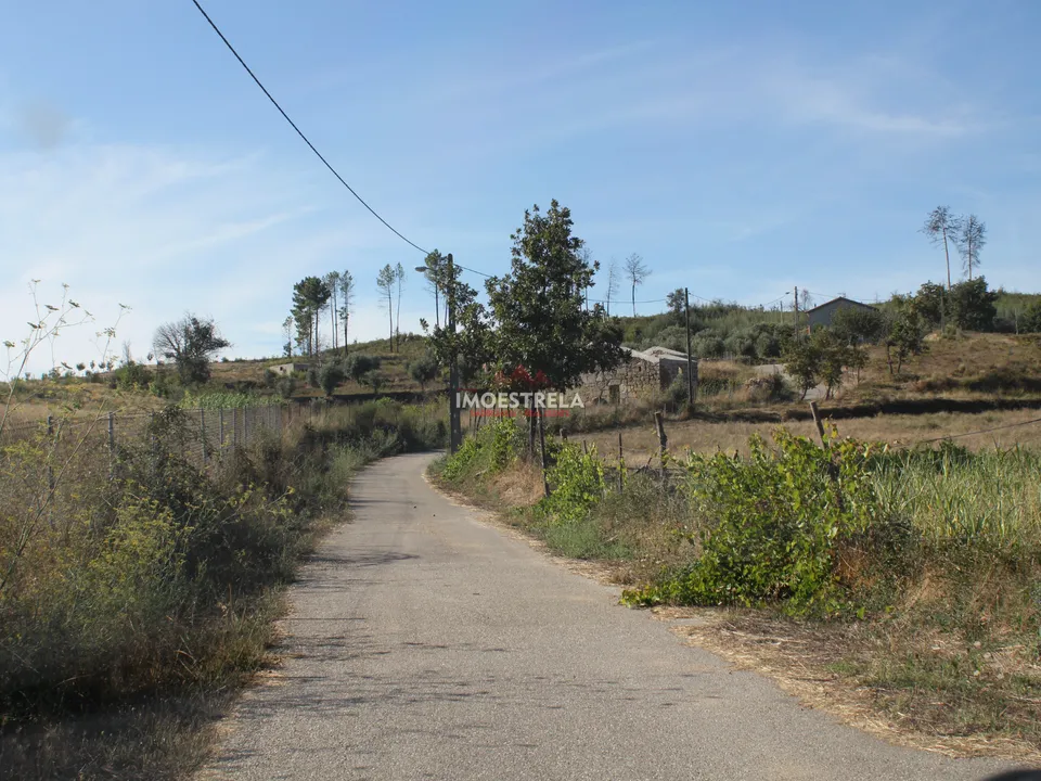 Farm i Oliveira do Hospital, Coimbra - foto 4