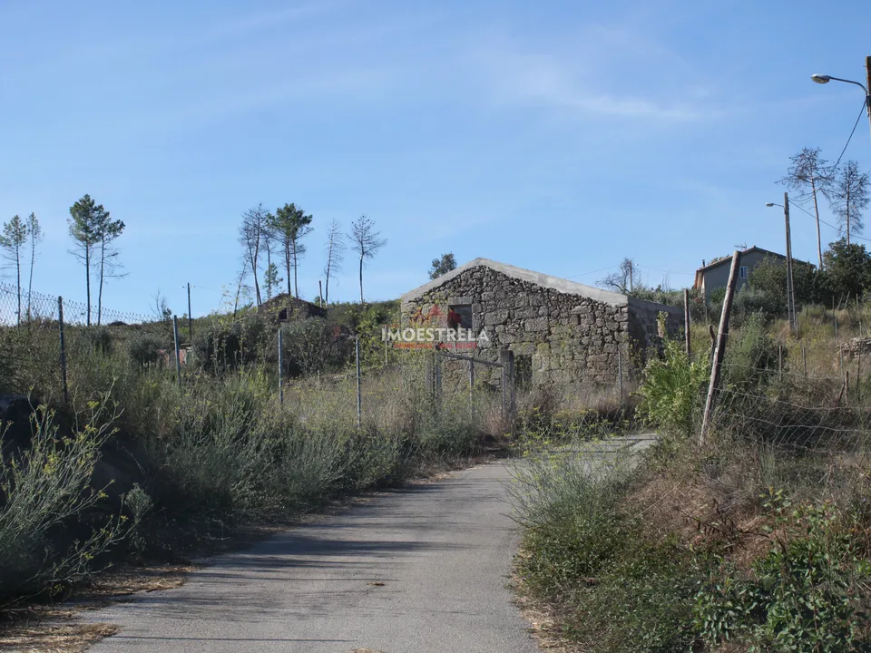 Farm i Oliveira do Hospital, Coimbra - foto 5