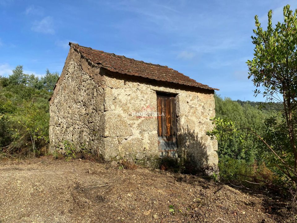Gård i Seia, Guarda - bilde 2