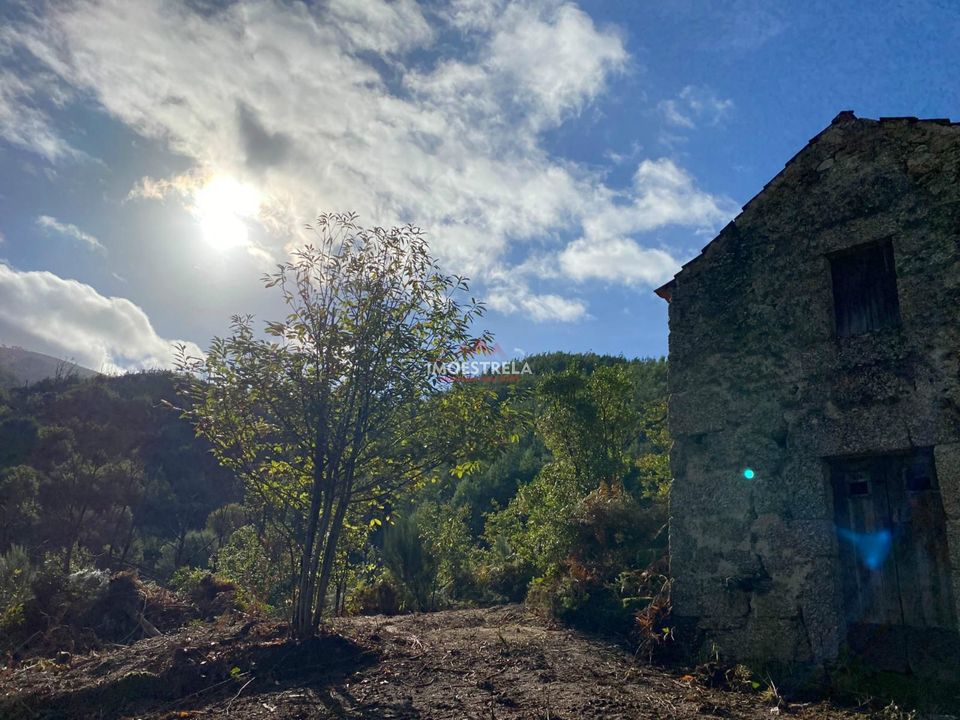 Gård i Seia, Guarda - bilde 4