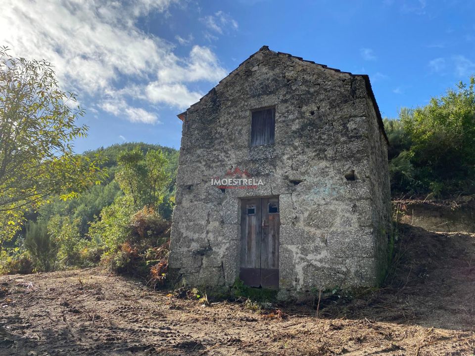 Gård i Seia, Guarda - bilde 5