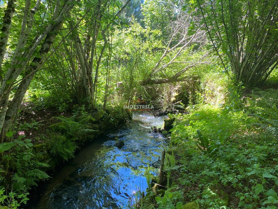 Farm i Seia, Guarda - foto 1