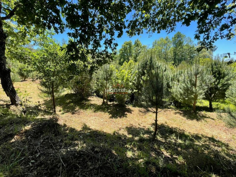 Farm i Seia, Guarda - foto 4