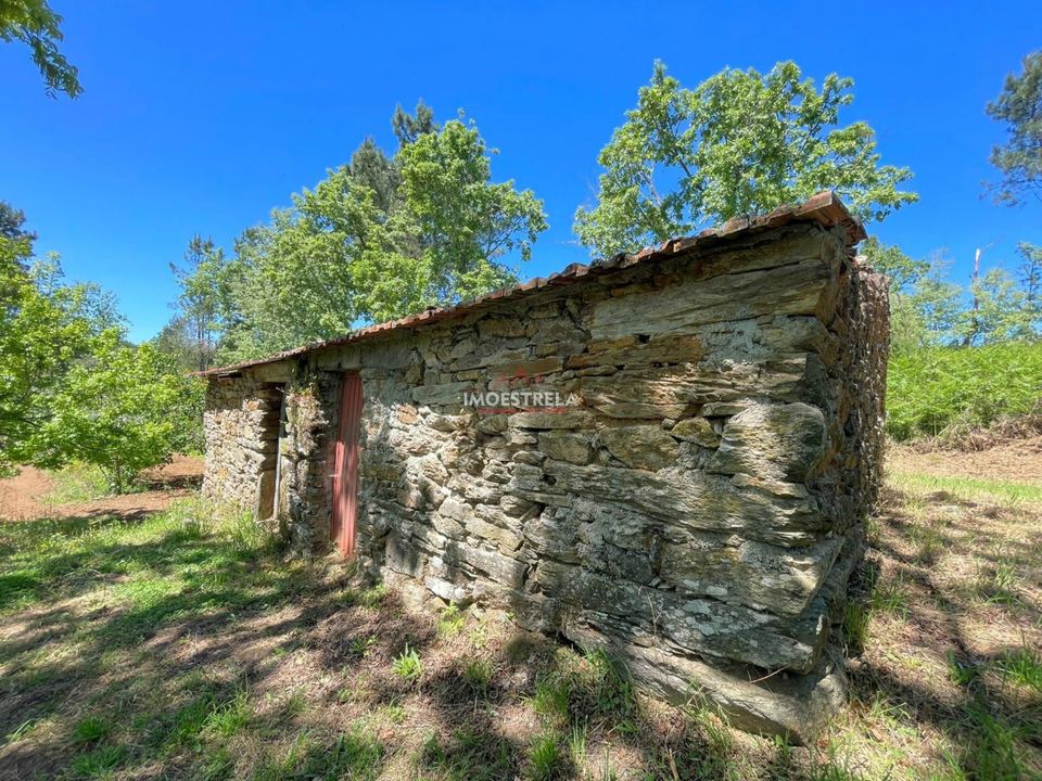 Farm i Seia, Guarda - foto 5