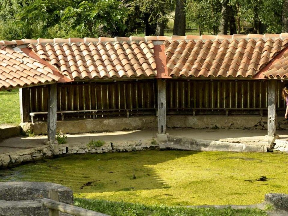 Helårsgrund i Saint-Hilaire-de-Voust, Vendee - foto 3