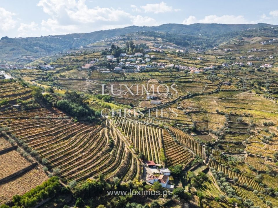 Farm i Lamego, Viseu - foto 1
