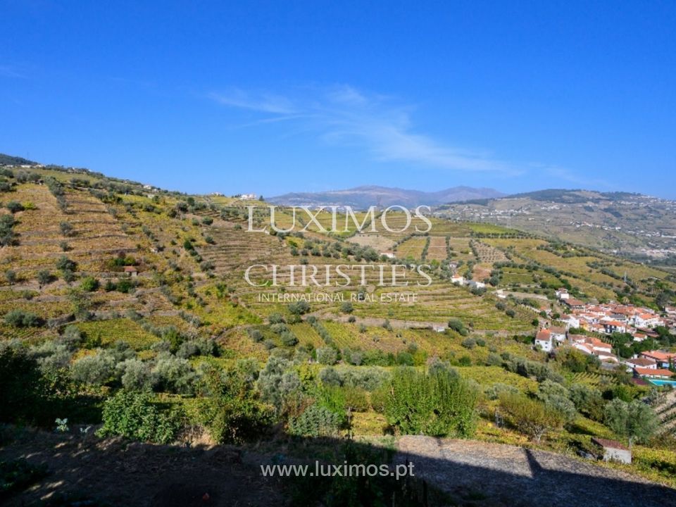 Farm i Lamego, Viseu - foto 2