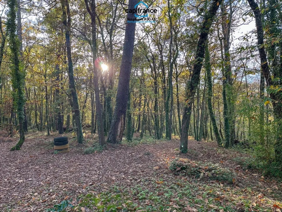 Villa i Montcabrier, Lot - foto 3