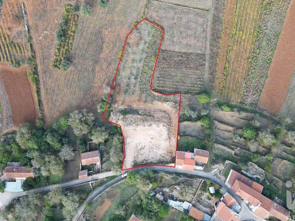 Terreno en Penela, Coimbra - foto 1