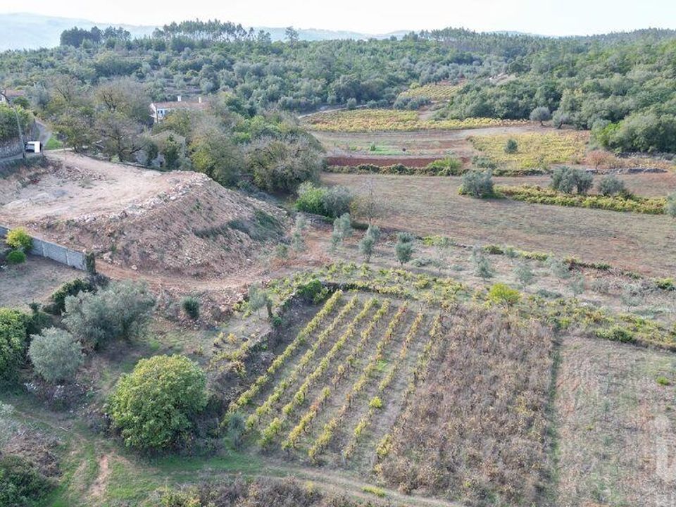 Terreno en Penela, Coimbra - foto 3