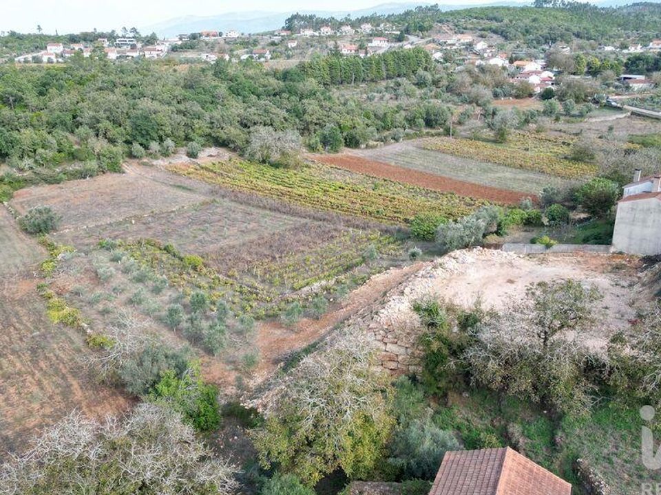 Terreno en Penela, Coimbra - foto 4