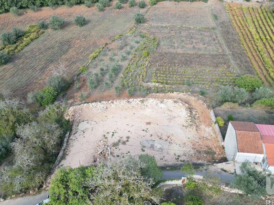 Terreno en Penela, Coimbra - foto 5