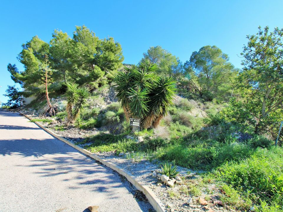 Helårsgrund i San Miguel De Salinas, Alicante - foto 3