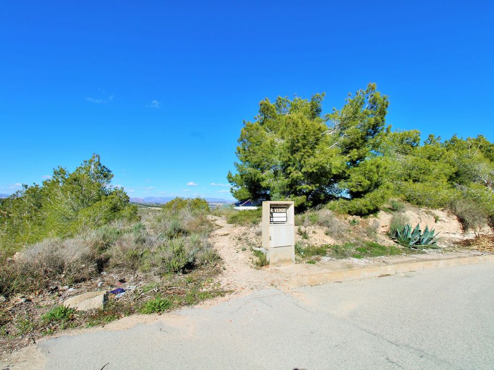 Helårsgrund i San Miguel De Salinas, Alicante - foto 3