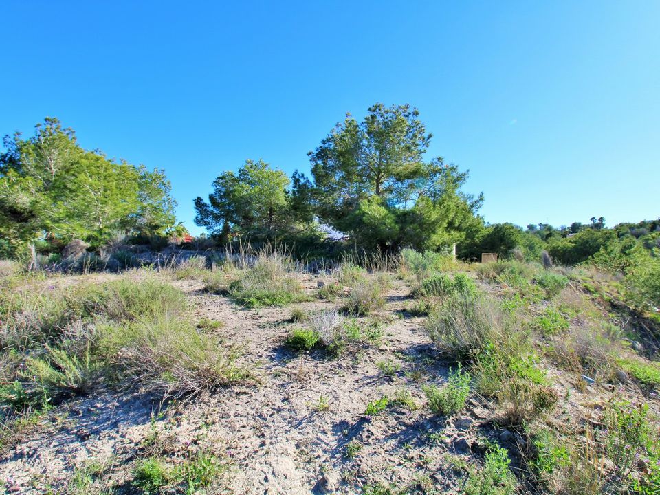 Helårsgrund i San Miguel De Salinas, Alicante - foto 4