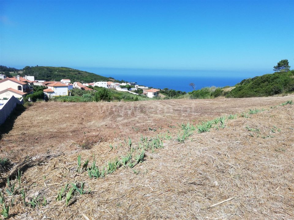 Helårsgrund i Nazare, Leiria - foto 2