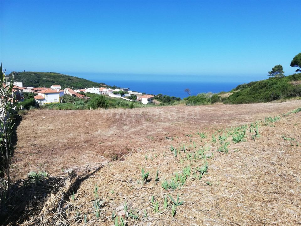 Helårsgrund i Nazare, Leiria - foto 3