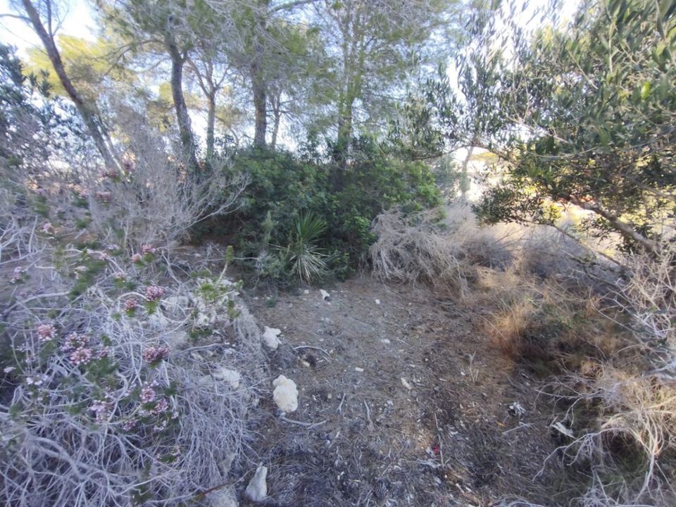 Tomt i Teulada, Alicante - bilde 4