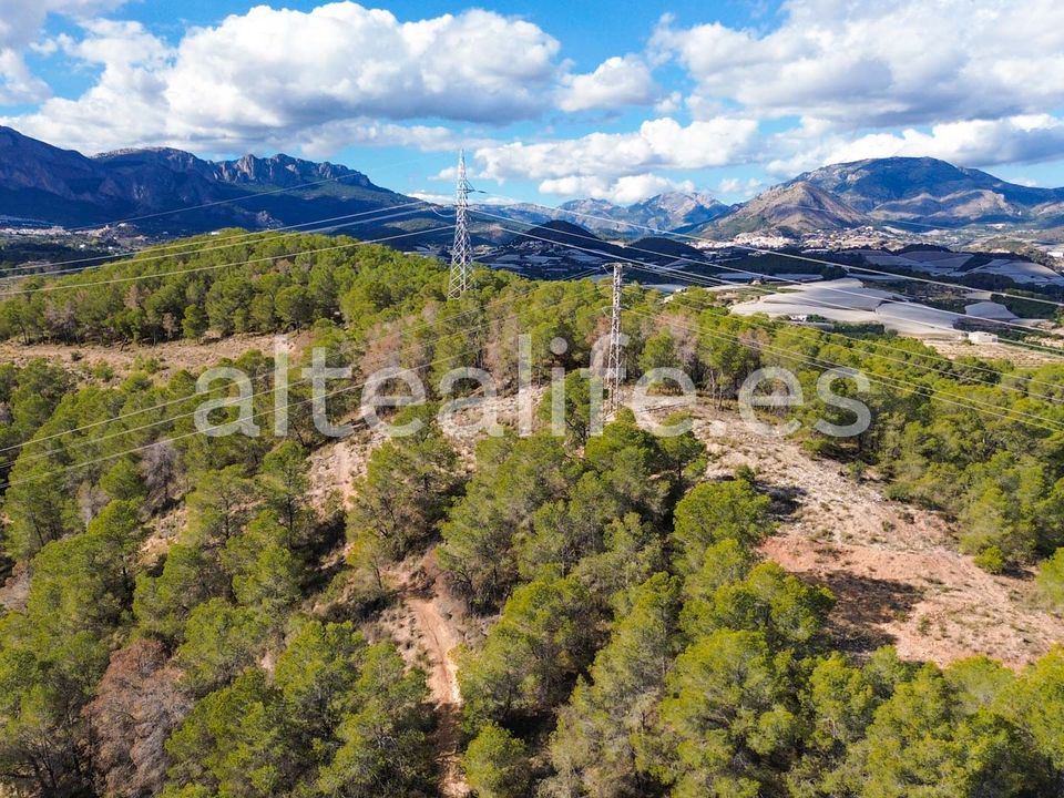 Tomt i Altea, Alicante - bilde 3