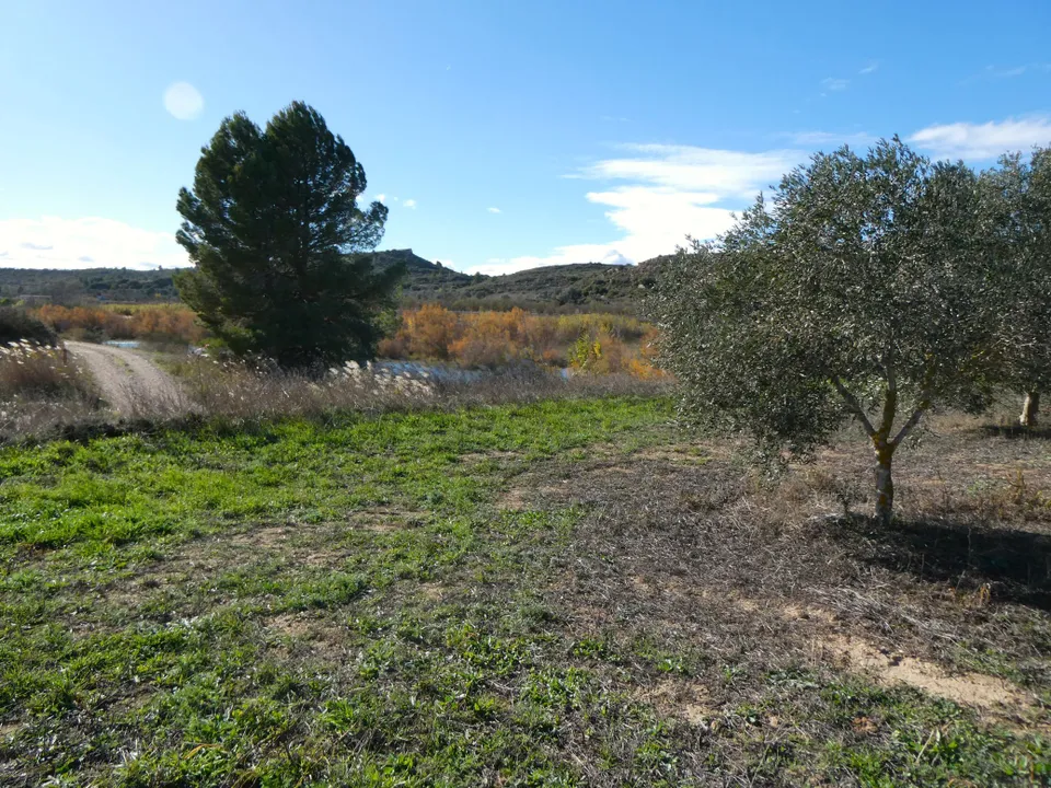 Finca i Fabara, Zaragoza - foto 4