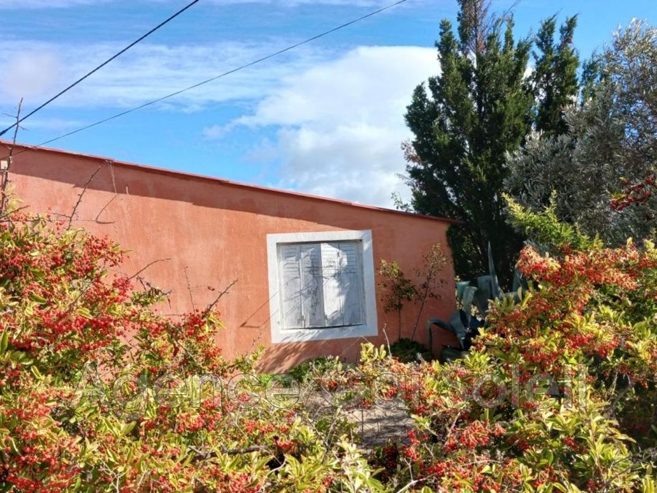 Landejendom i Nissan-lez-Enserune, Herault - foto 4