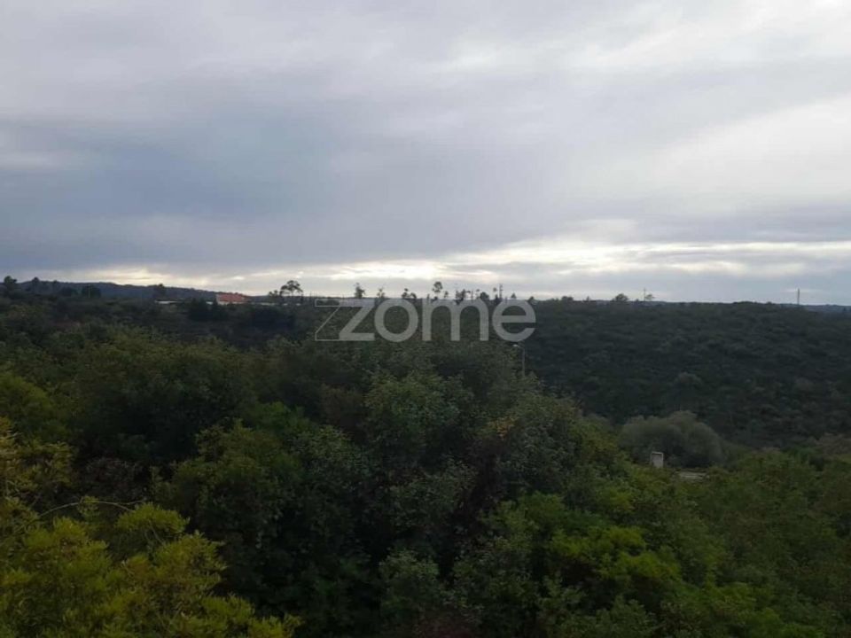 Helårsgrund i Pombal, Leiria - foto 4