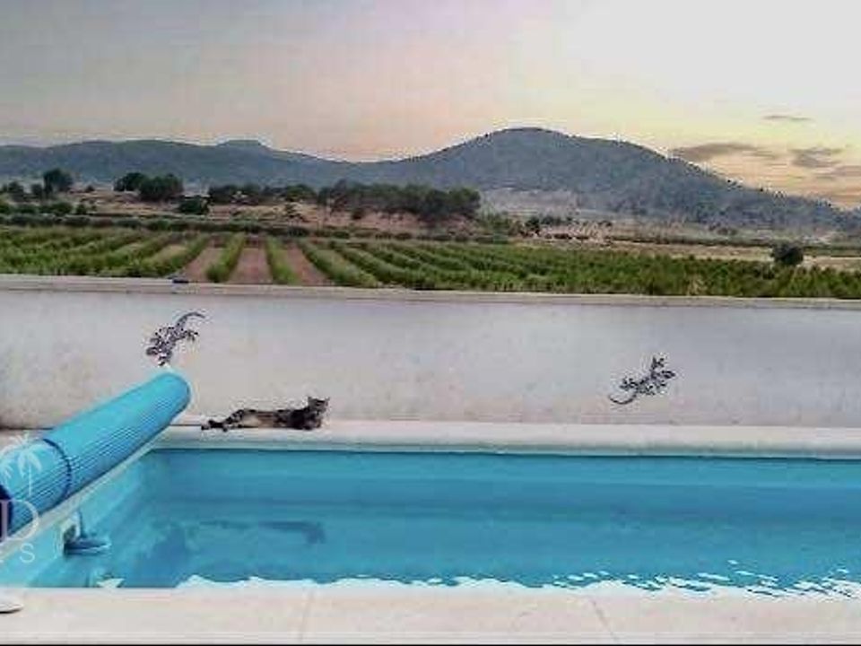 Villa i Yecla, Murcia - foto 5