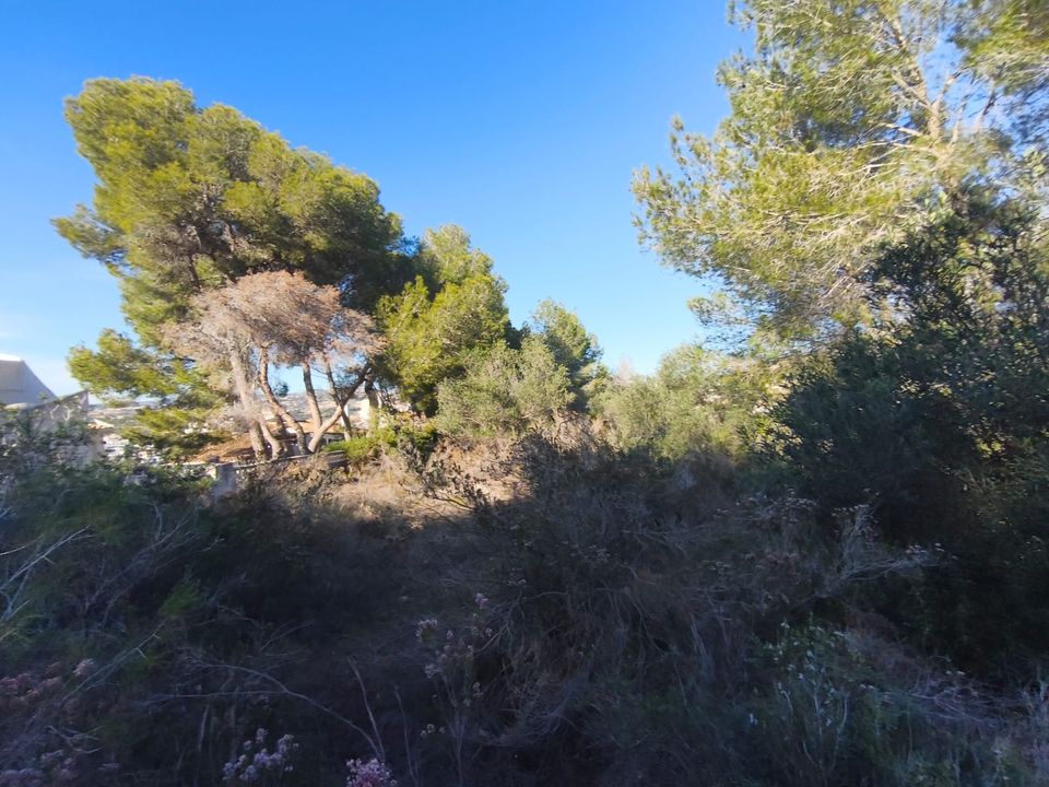 Tomt i Teulada, Alicante - bilde 2