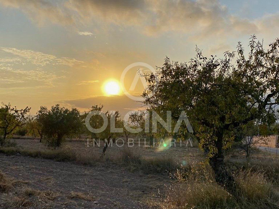 Helårsgrund i Ibi, Alicante - foto 3