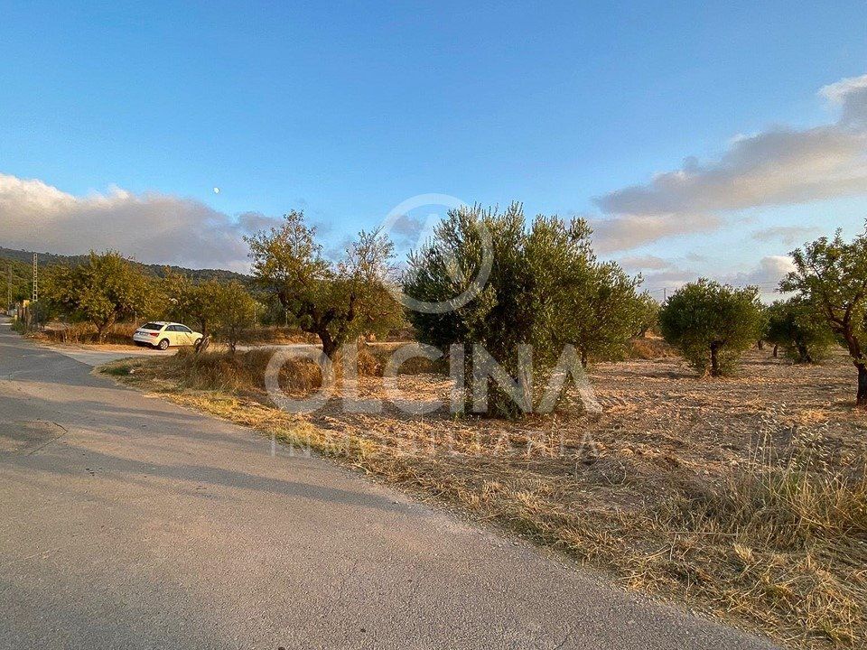 Helårsgrund i Ibi, Alicante - foto 4