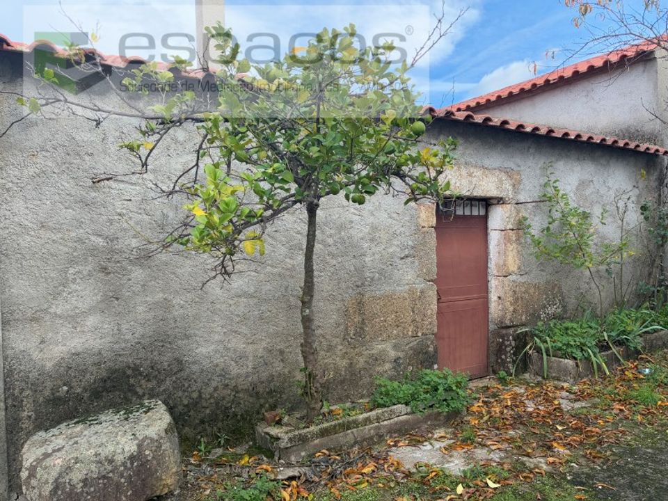 Farm i Vale de Prazeres e Mata da Rainha, Castelo Branco - foto 3