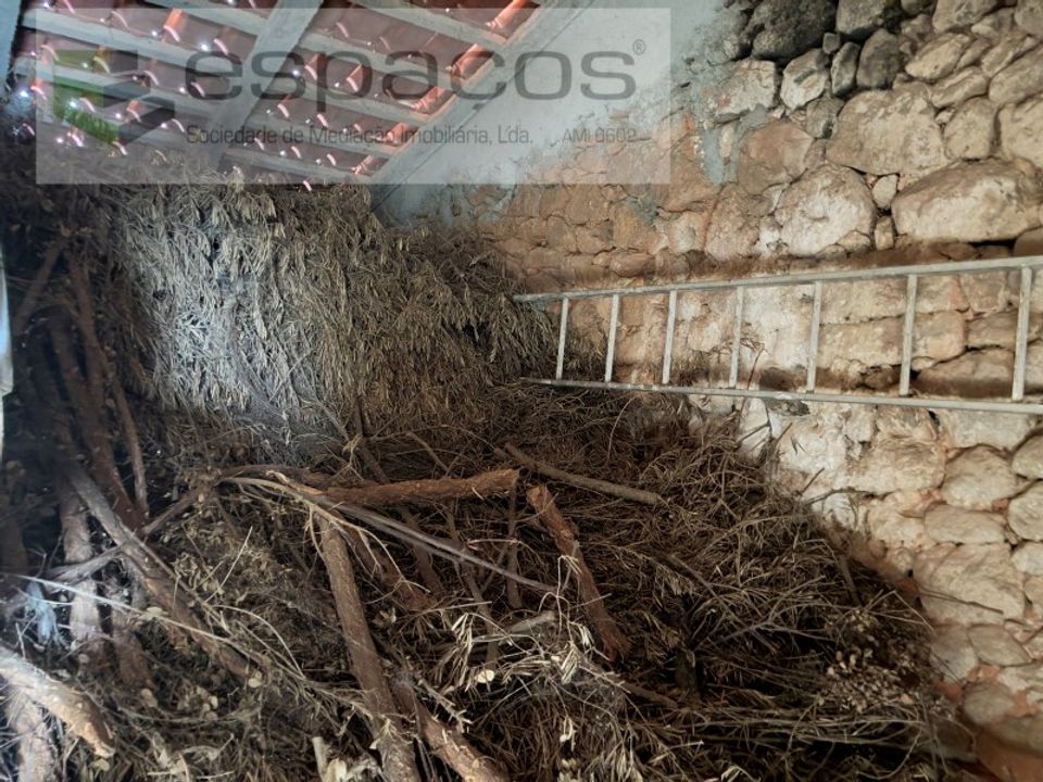 Farm i Vale de Prazeres e Mata da Rainha, Castelo Branco - foto 4