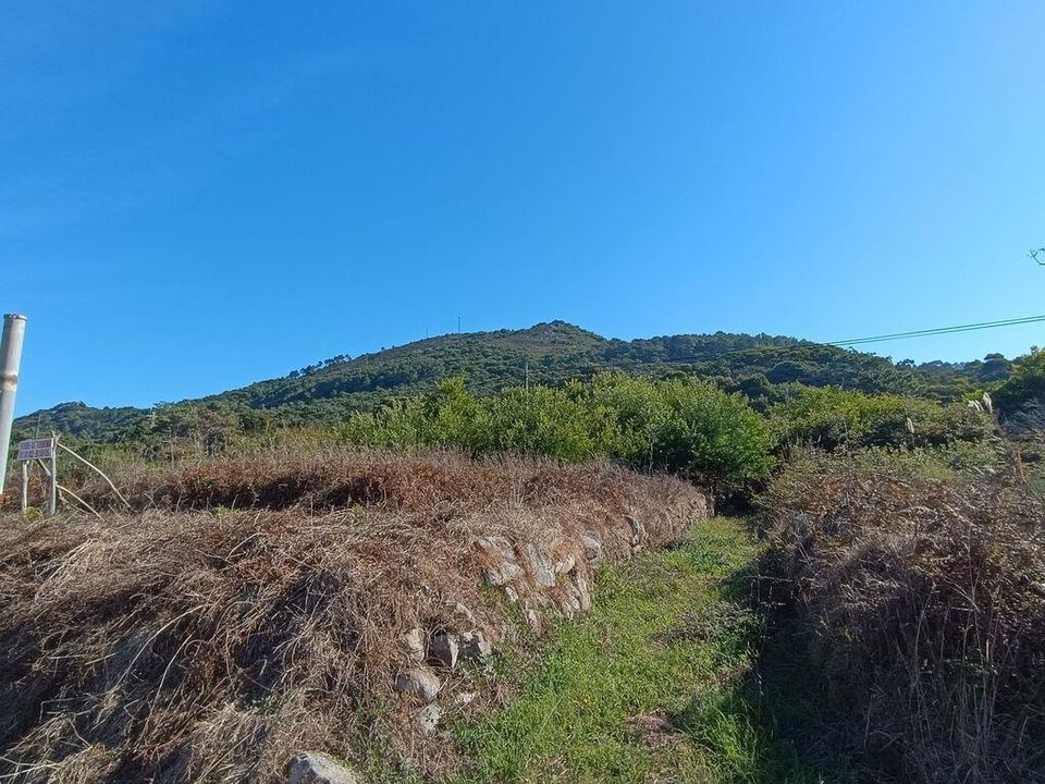 Helårsgrund i Caminha, Viana do Castelo - foto 5