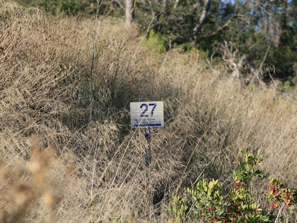 Finca i Javea, Alicante - bilde 2