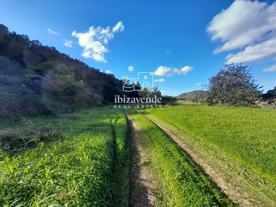 Finca i Sant Josep de sa Talaia, Ibiza - bilde 3