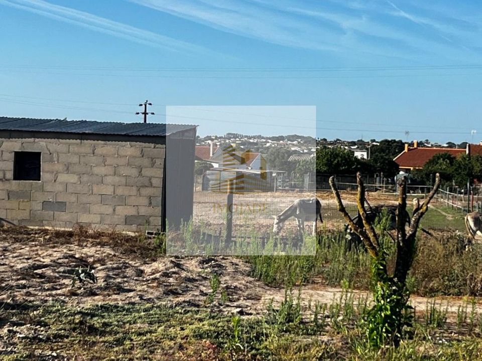 Helårsgrund i Benavente, Santarem - foto 2