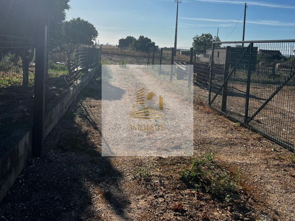 Helårsgrund i Benavente, Santarem - foto 4