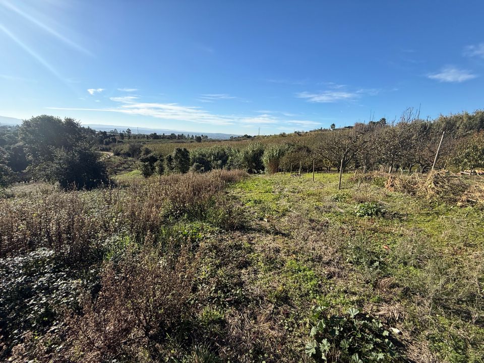 Helårsgrund i Obidos, Leiria - foto 5