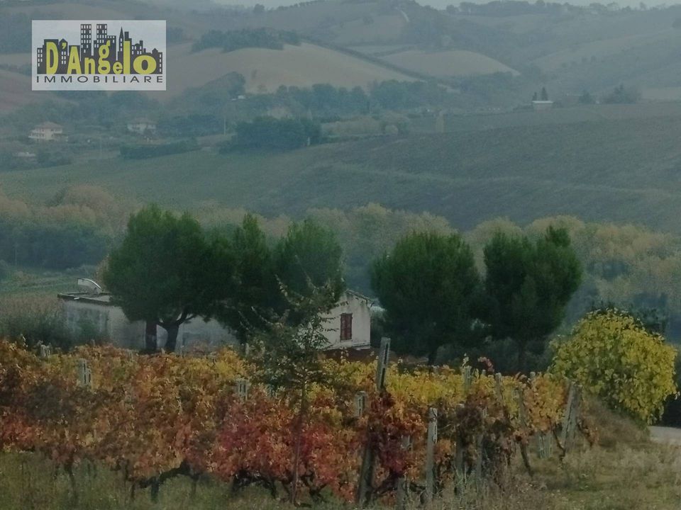 Landejendom i Castignano, Ascoli Piceno - foto 2