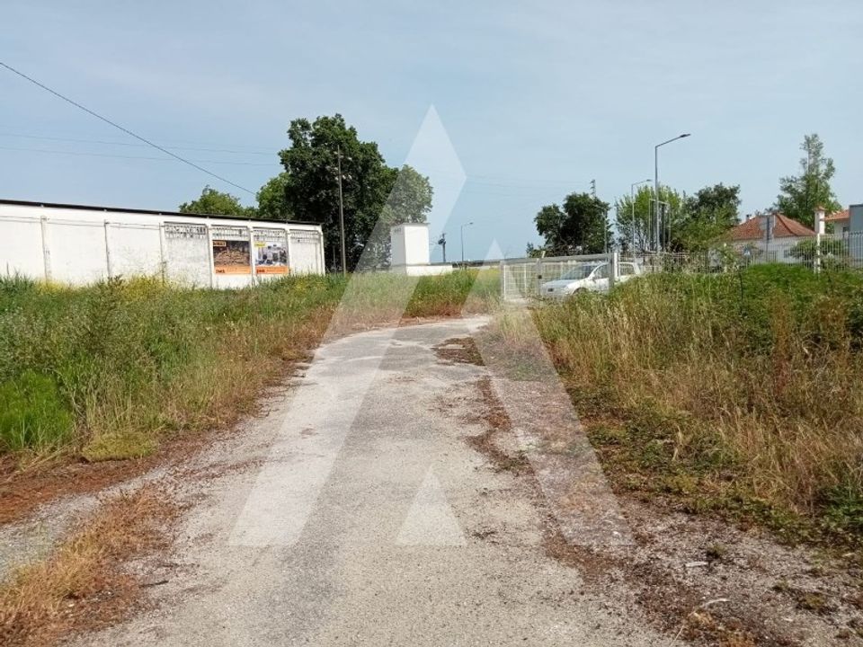 Villa i Maiorga, Leiria - foto 5