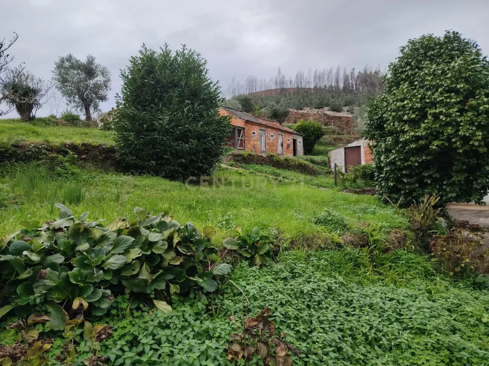 Villa a Sever do Vouga, Aveiro - foto 1