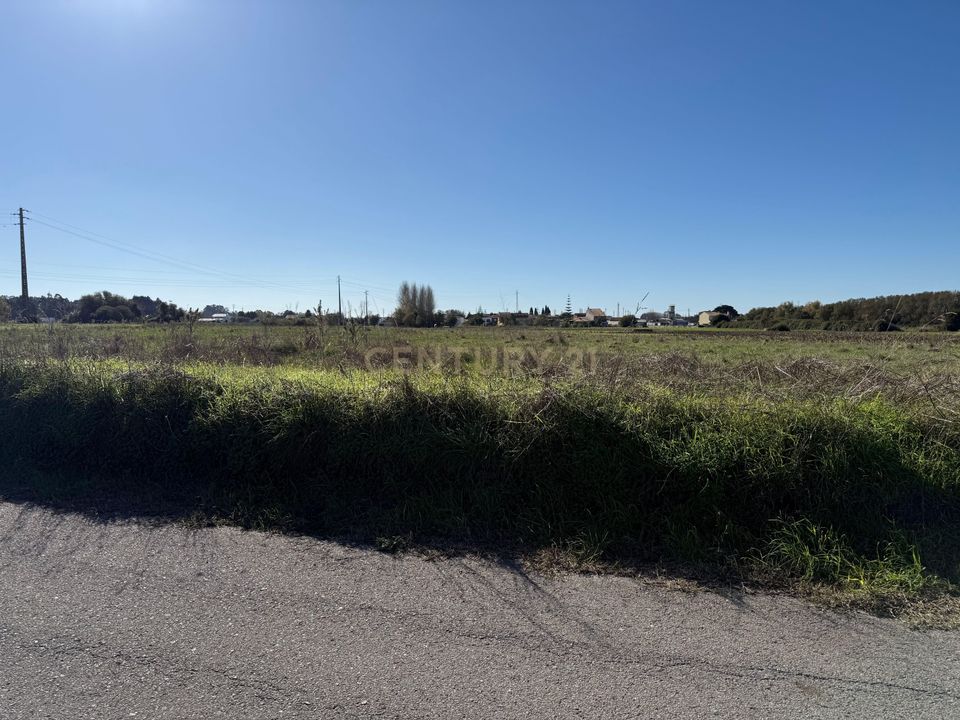 Helårsgrund i Ilhavo, Aveiro - foto 4